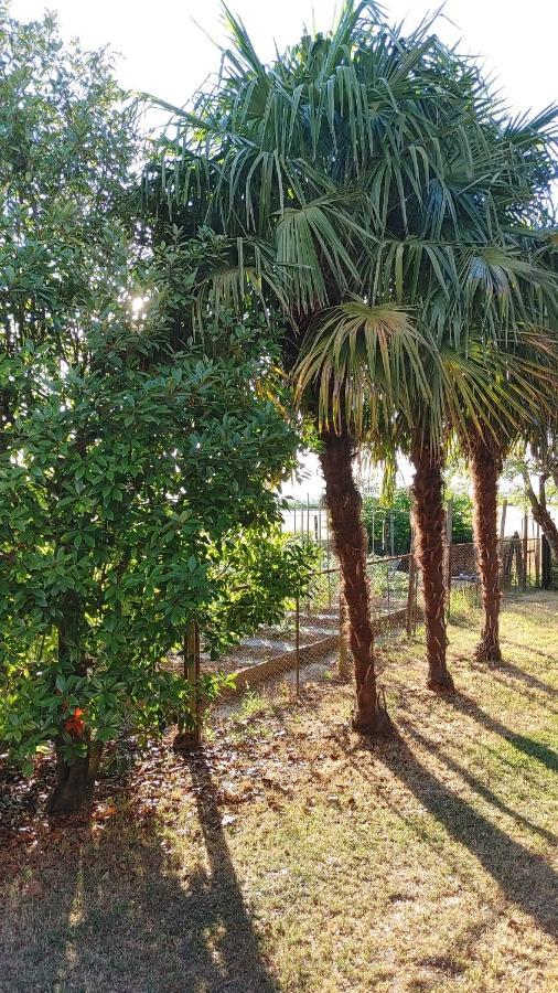 B&B Al Vecio Morer San Dona di Piave Luaran gambar